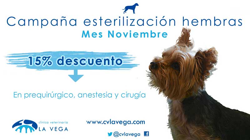 Plan de esterilización