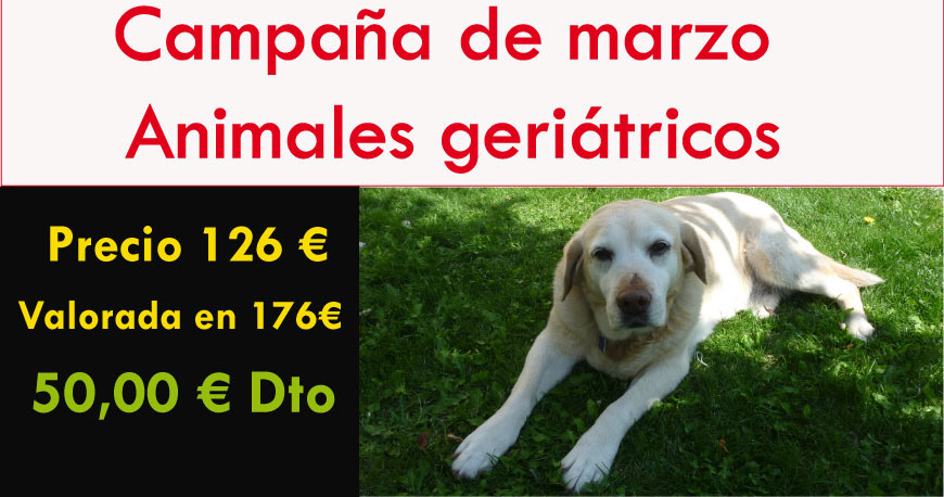 Plan de salud de animales geriatricos