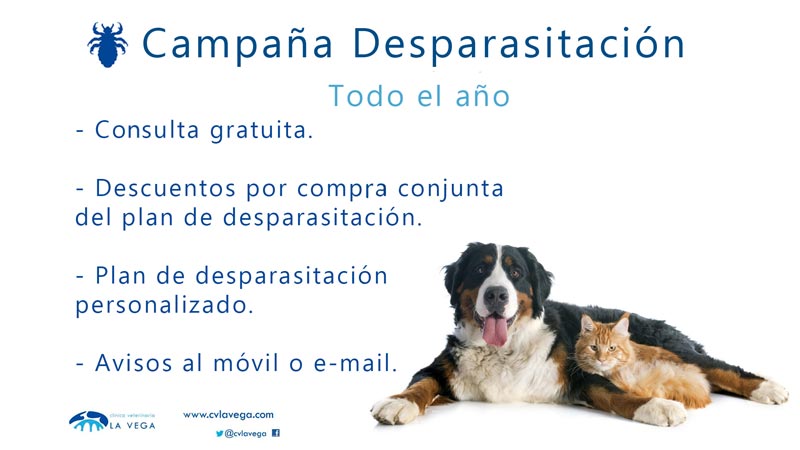 Plan de desparasitación en clinica veterinaria en salamanca