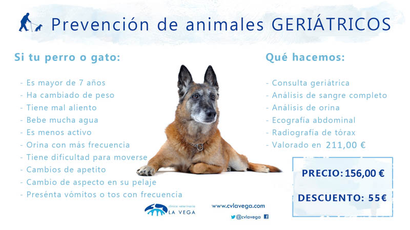 Plan de salud de animales geriatricos veterinaria salamanca