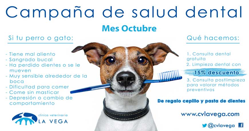 Plan de salud dental