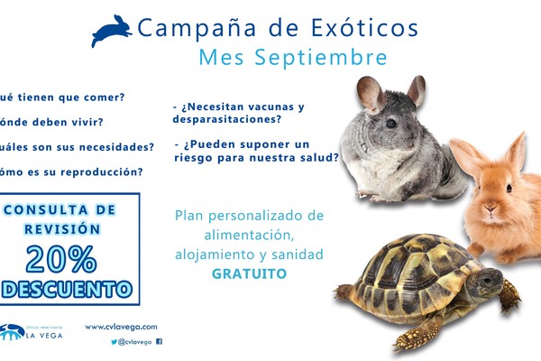 Campaña de revisión para animales exóticos en Salamanca